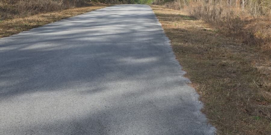 Carretera pavimentada