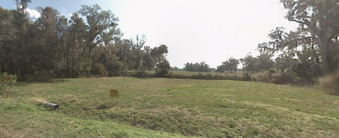 Google Maps Street View(1)