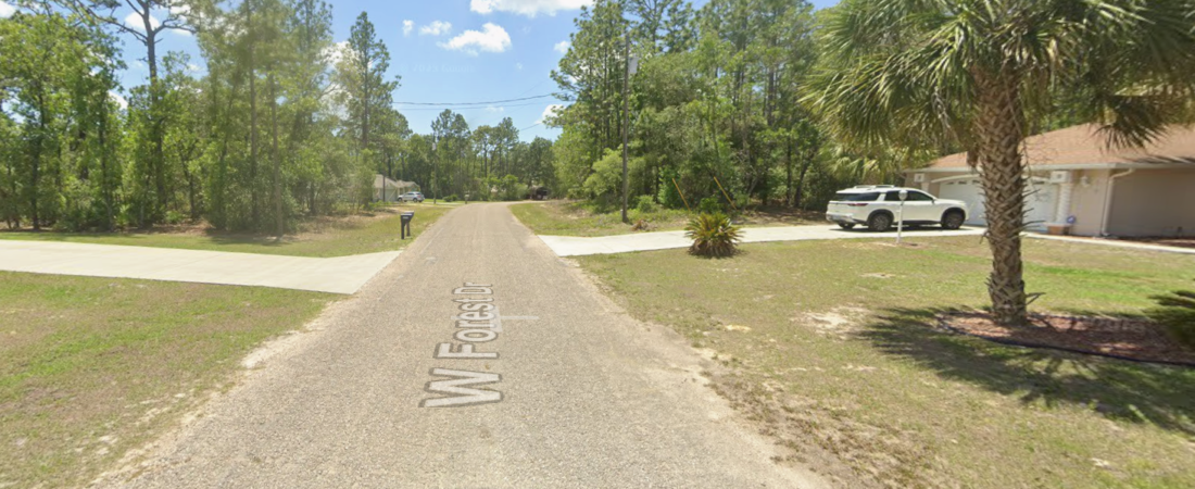 Google Street View(1)