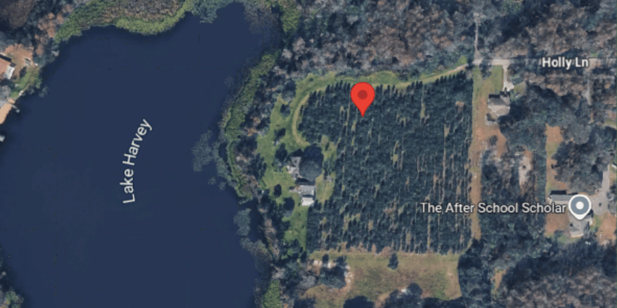 Maps view